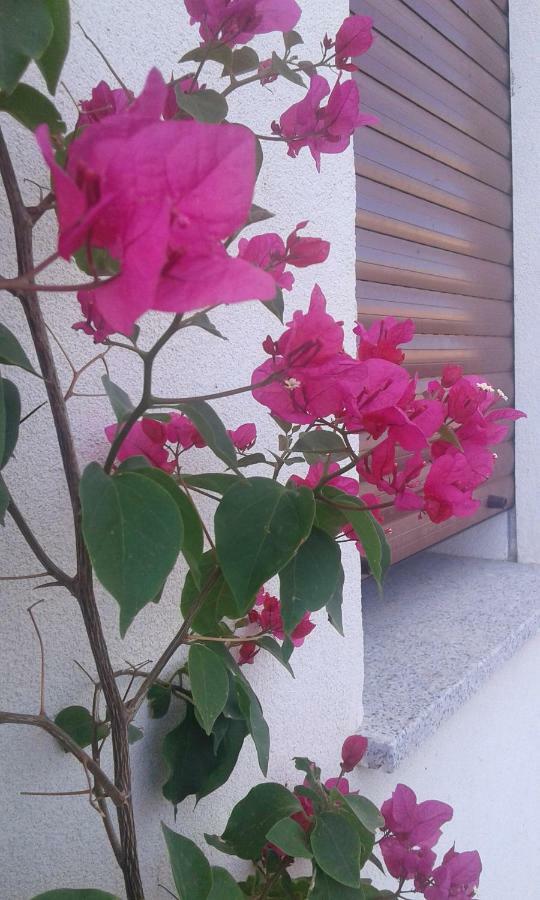 Alma Bed & Breakfast Sennariolo Buitenkant foto